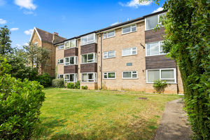 Photo 14- click for photo gallery